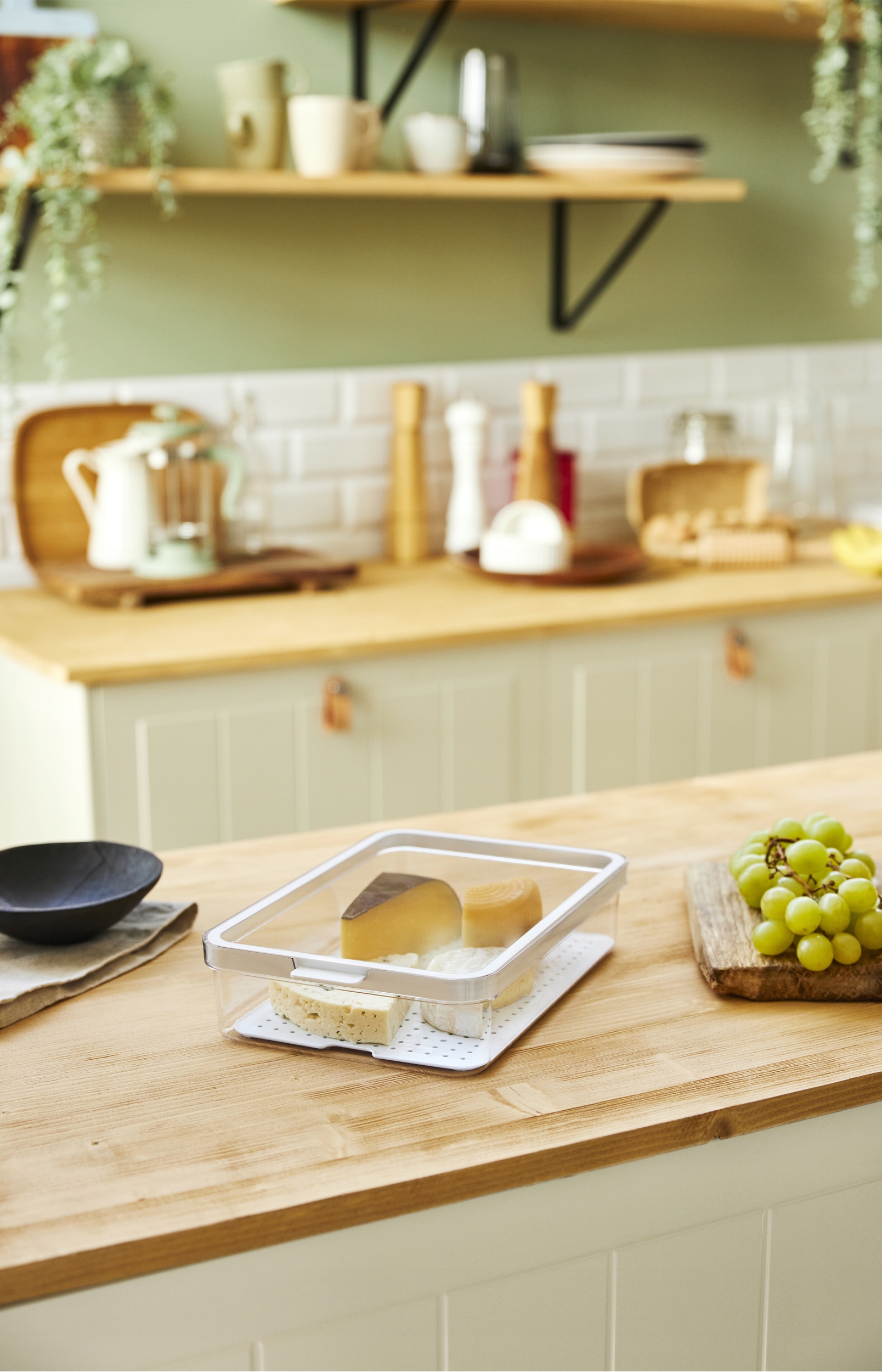 ROTHO POJEMNIK NA ŻYWNOŚĆ ORGANIZER DO LODÓWKI NA WĘDLINE SER 2,6L CAUMA Kod producenta 3149085423803