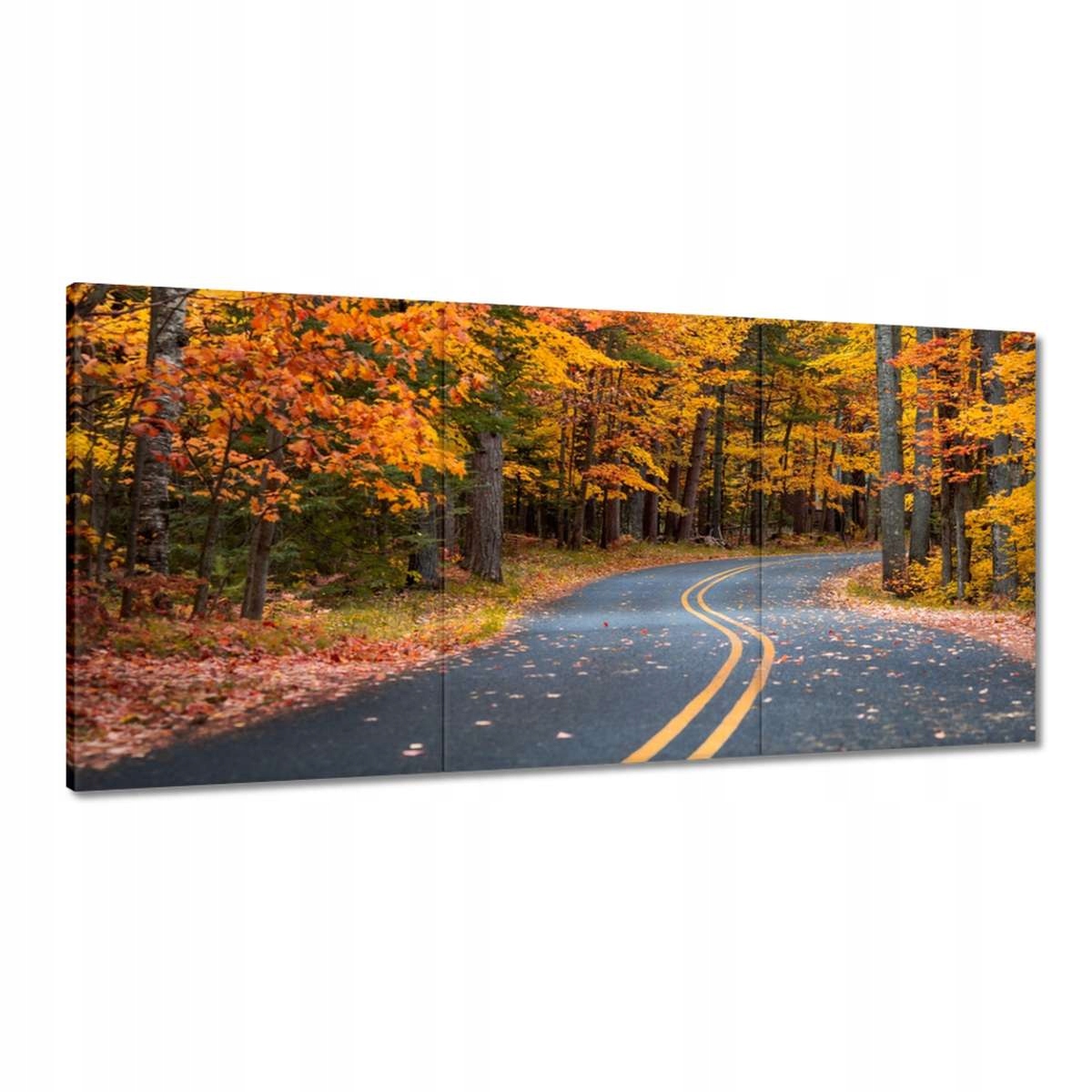 Obrazy 180x90 Krajina Vidlička