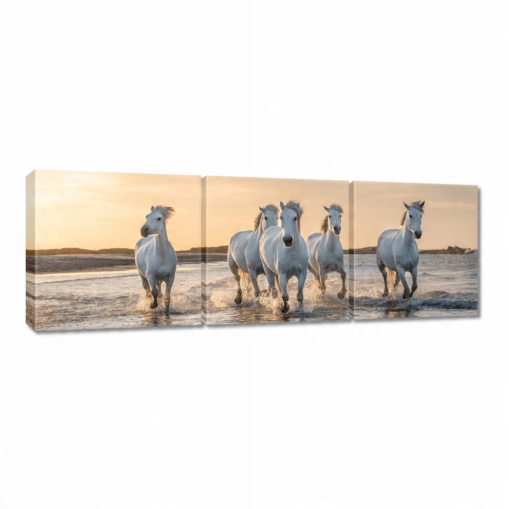 

Obraz 150x50 Dzikie konie Wild Horses