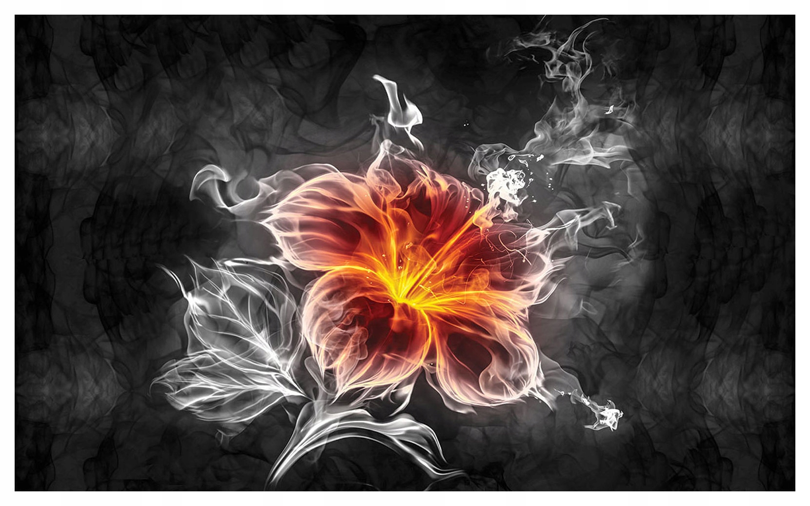 Vliesová fototapeta Kvet v tme nočný Abstrakcia 312x219 lepidlo