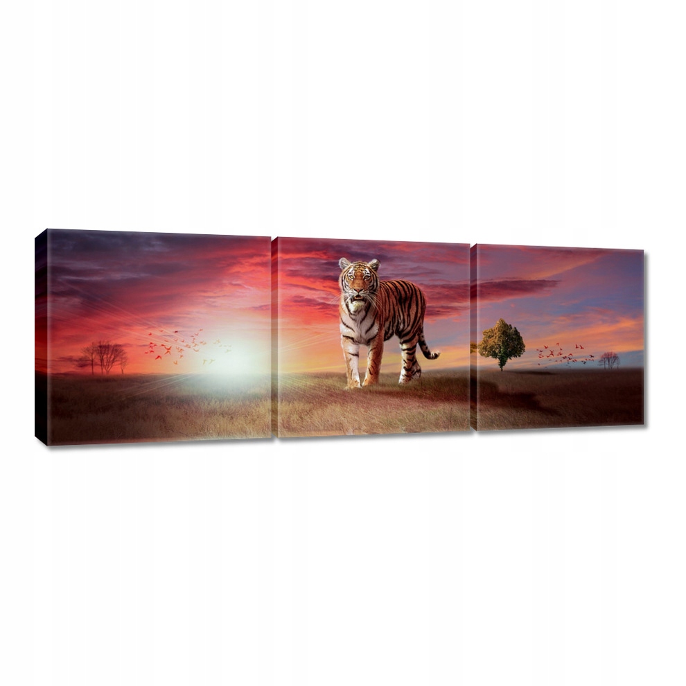 

Obrazy 150x50 Tygrys