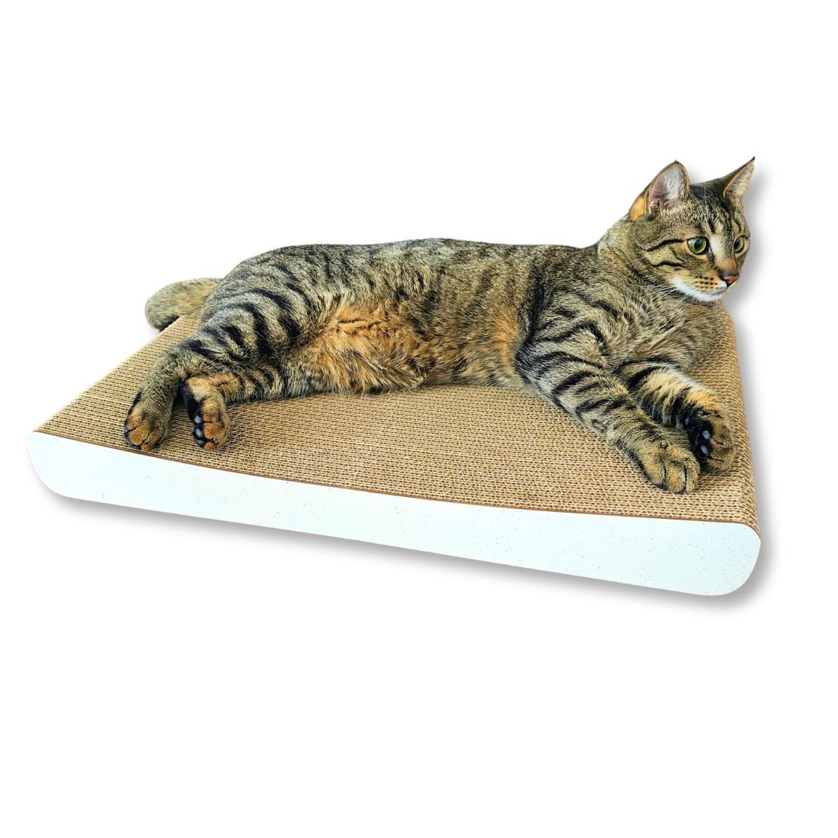 Levně Kartonová škrabka bílá velká Mruu&Pruu Sigma