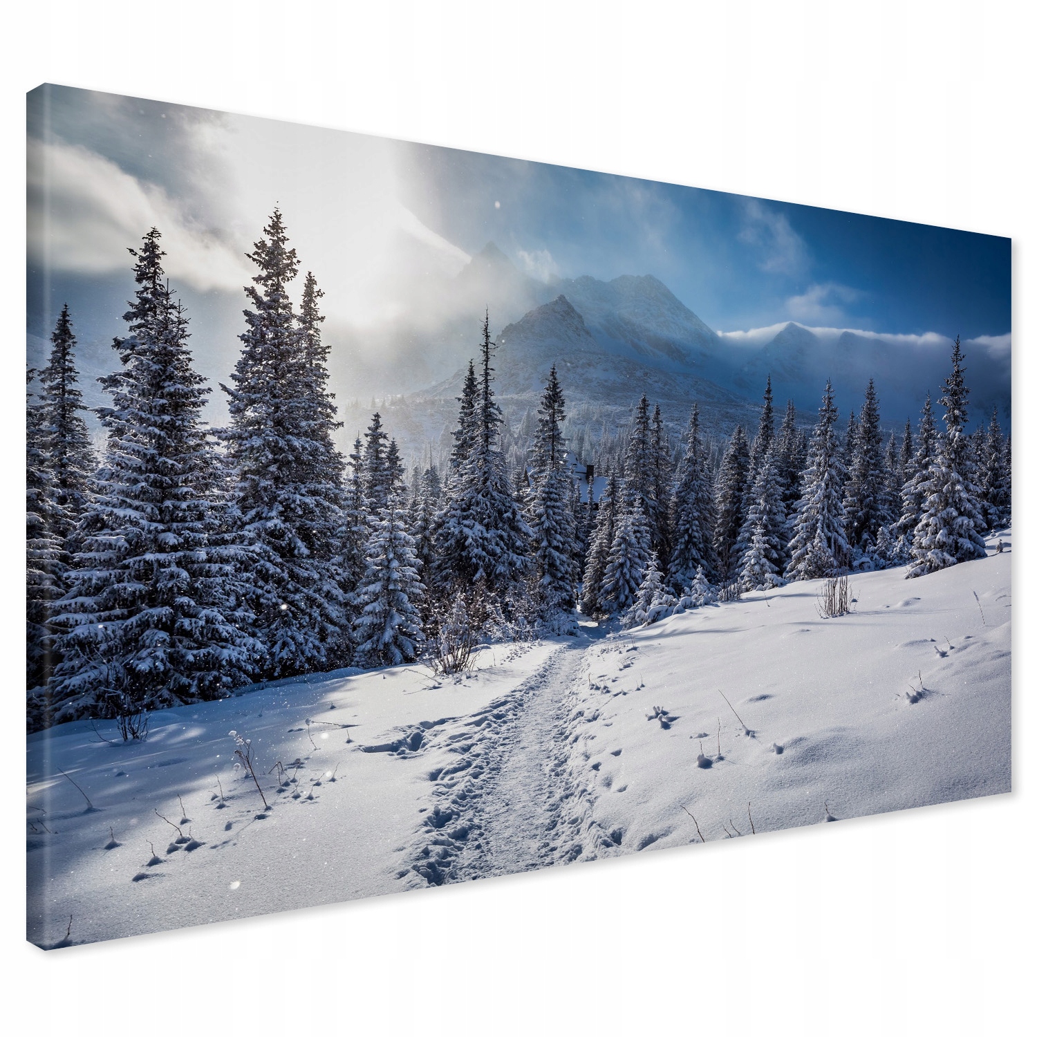 

Obraz na płótnie góry zima las 100x70