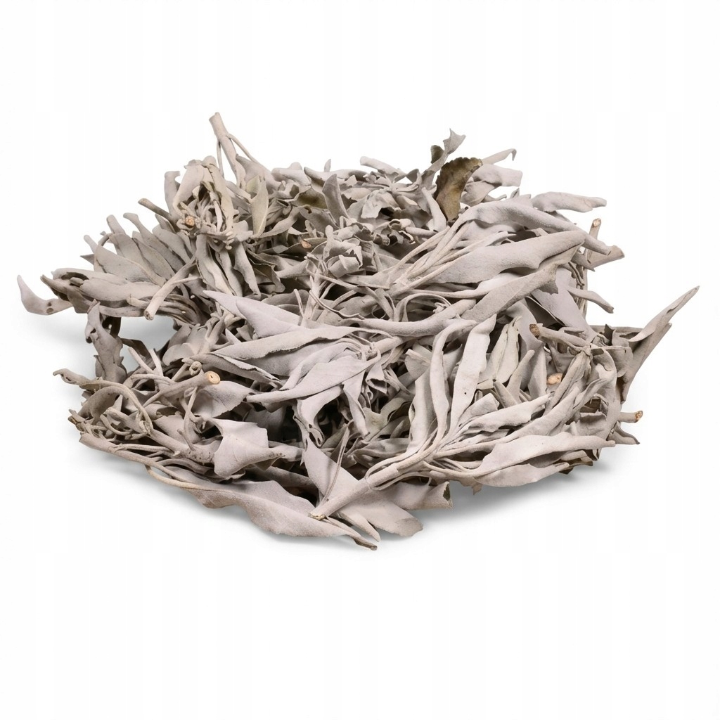 Suché kadidlo Biela šalvia (Salvia Apiana) voľne ložené 1 kg