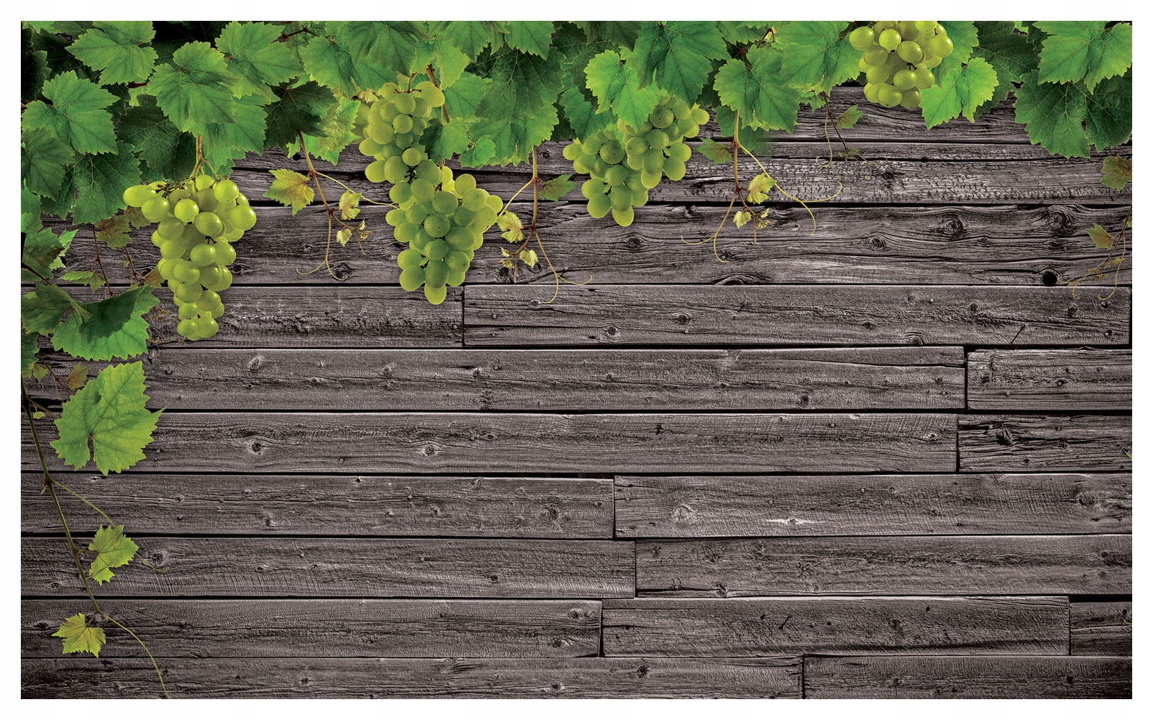 Vliesová fototapeta Zelené hroznové víno na dřevěném plotě 416x254 lepidlo