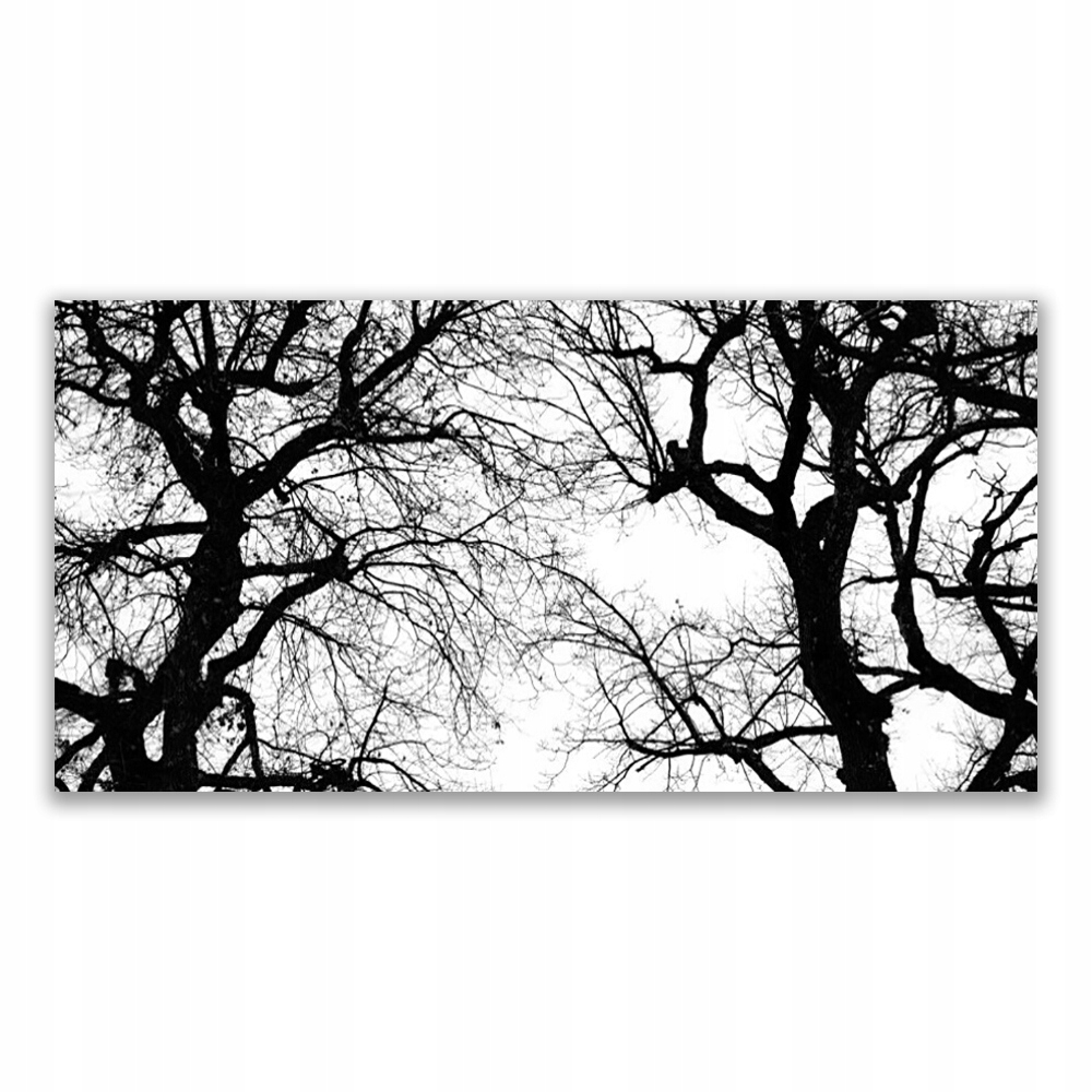 

Obraz akrylowy 120x60 Drzewa Natura Czarno-Biały