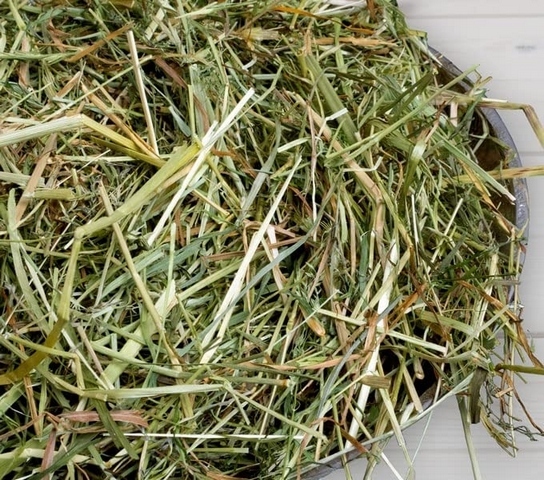 KOSTKA SIANA DLA KONI KRÓLIKÓW GRYZONI 10 KG XXXL DUŻA KOSTKA SIANKO 2024 Kod producenta SIECZKA EKOJURA