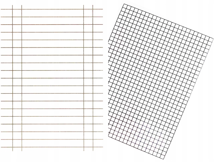 

Liniuszek dwustronny kratka/linia A4
