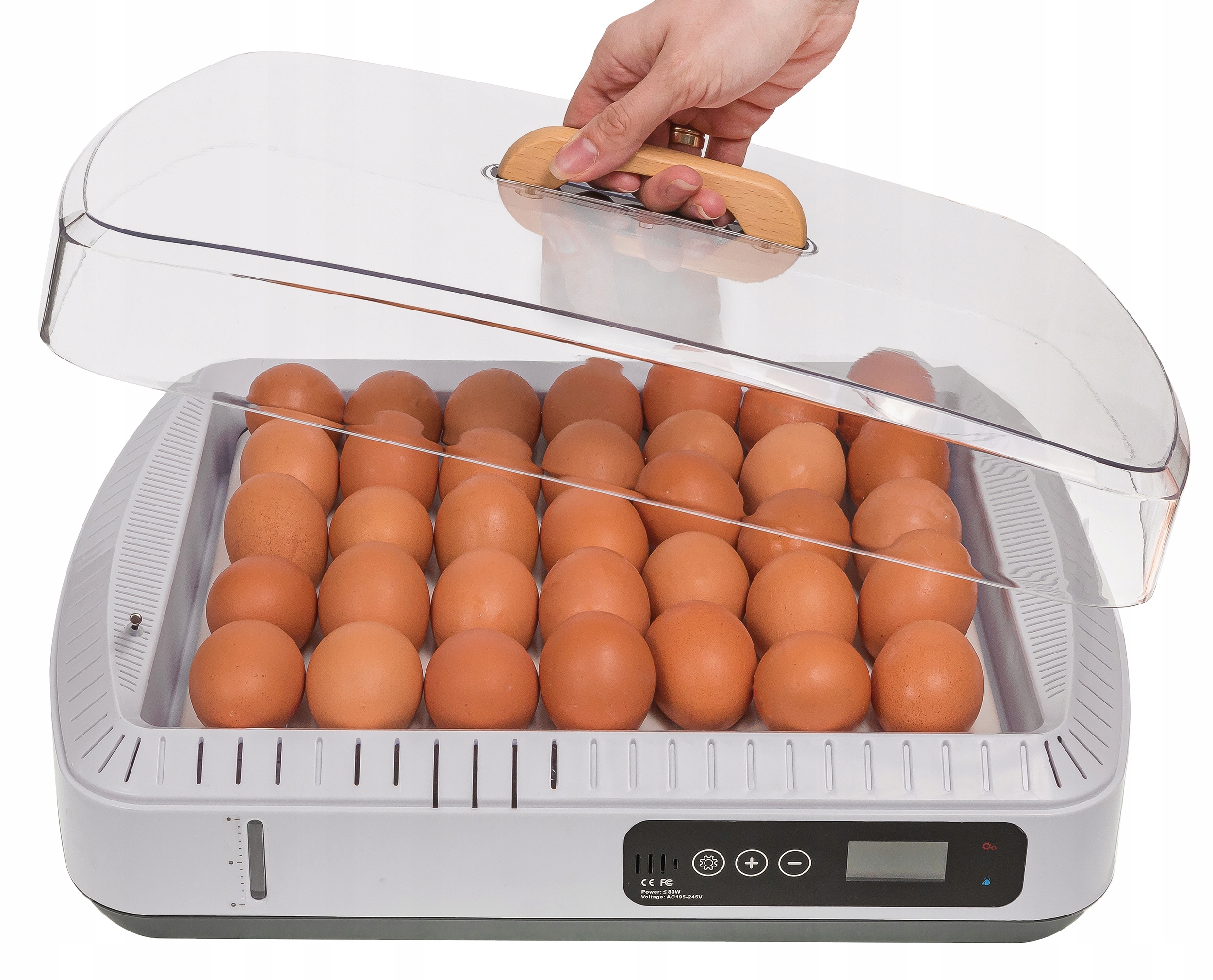 Inkubator Automatyczny do wylęgu 35 jaj Wylęgarka Klujnik do wylęgu Drobiu Maksymalna liczba jajek 35