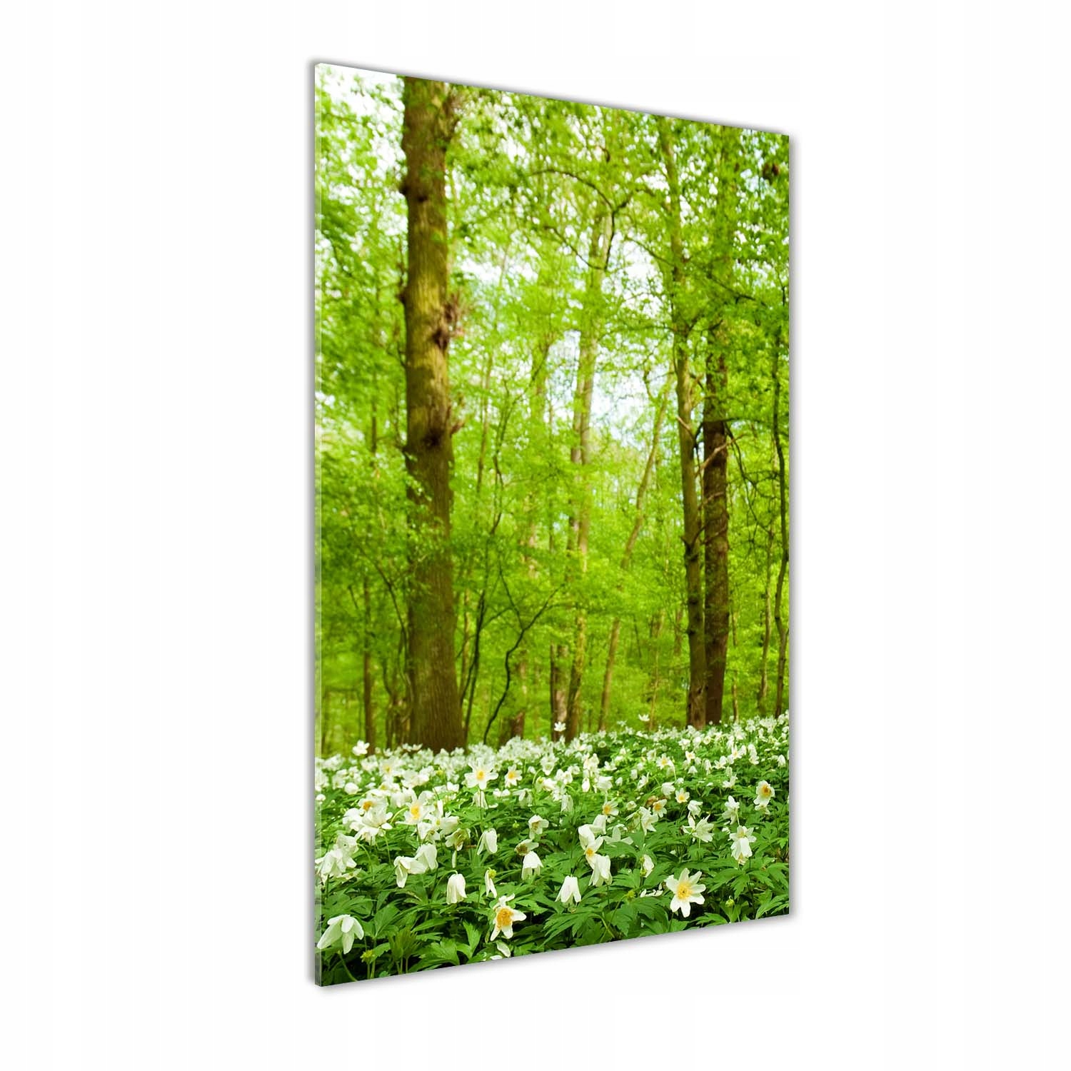 

Foto obraz akryl do salonu Kwiaty w lesie 60x120cm