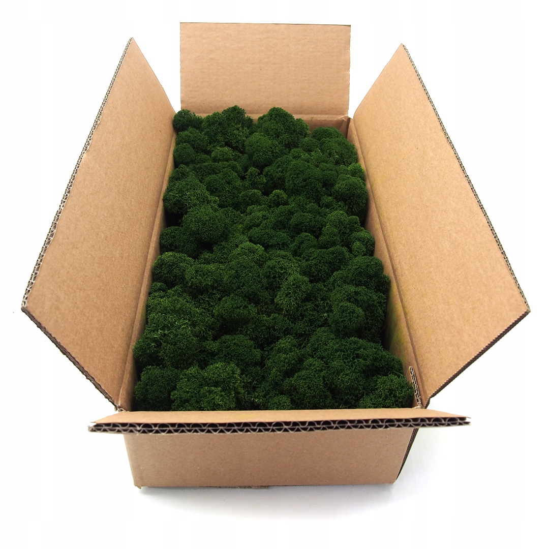 Mech chrobotek fiński 500g