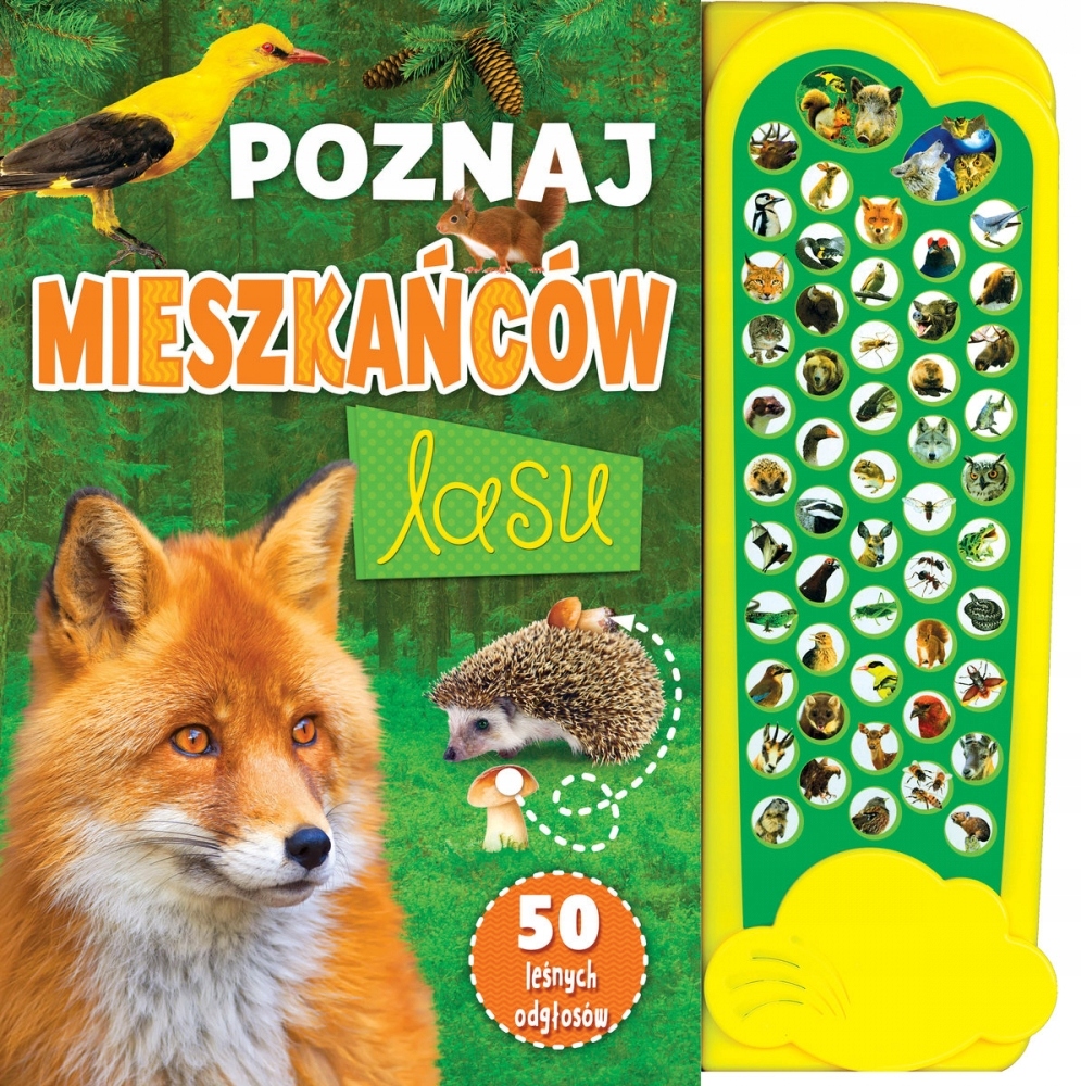 

Poznaj mieszkańców lasu