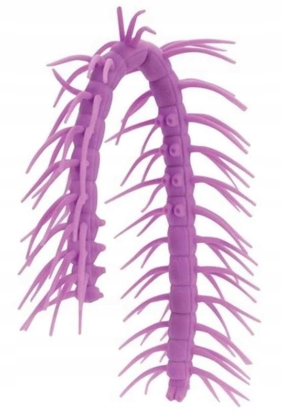 

Stonoga Push Pop It Sensoryczny Gniotek Rozciągany