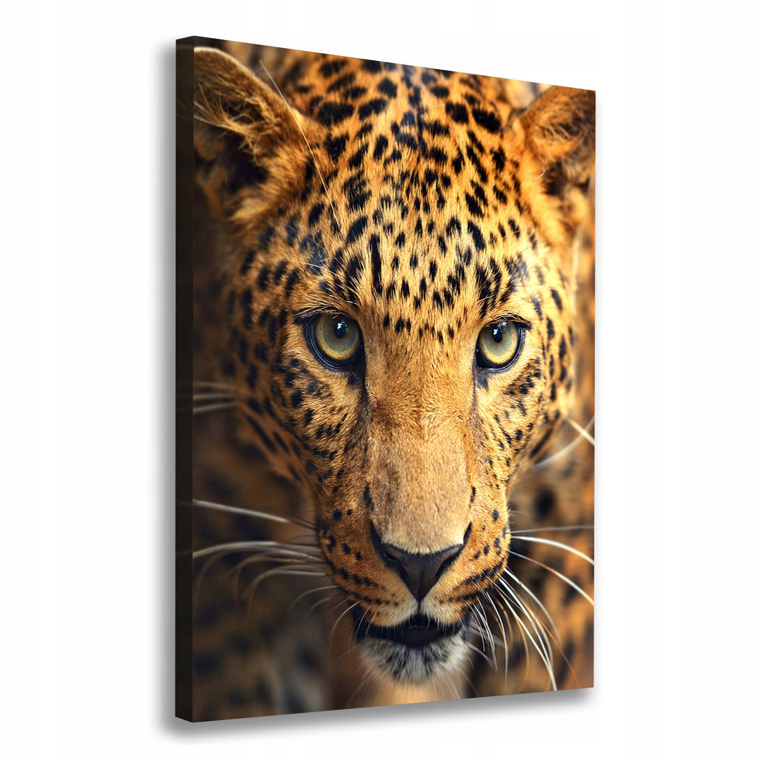 

Nowoczesny obraz canvas na ramie Lampart 70x100 cm