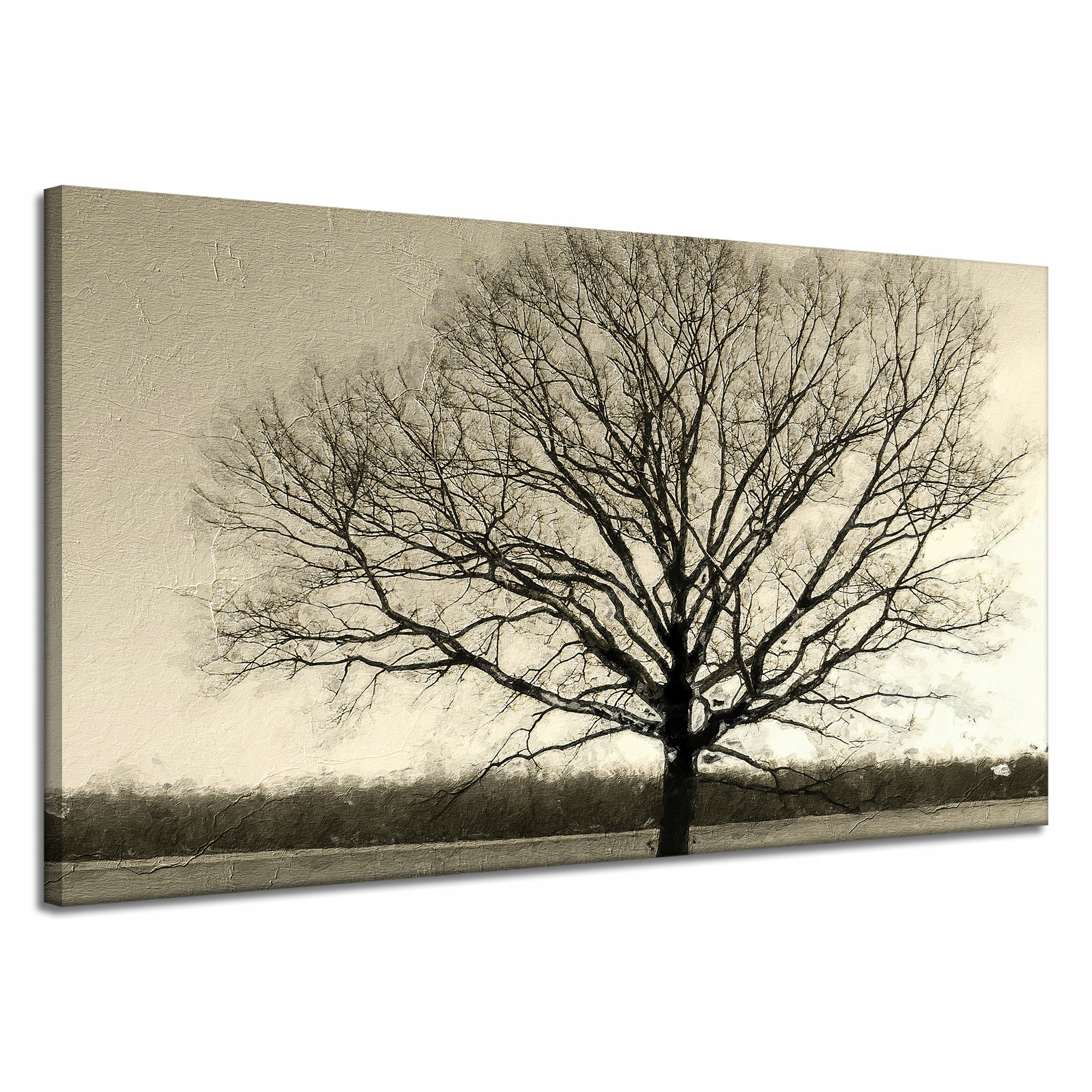 Obraz na plátně Ponuré Černé Dřevo Smutek 120x70 cm