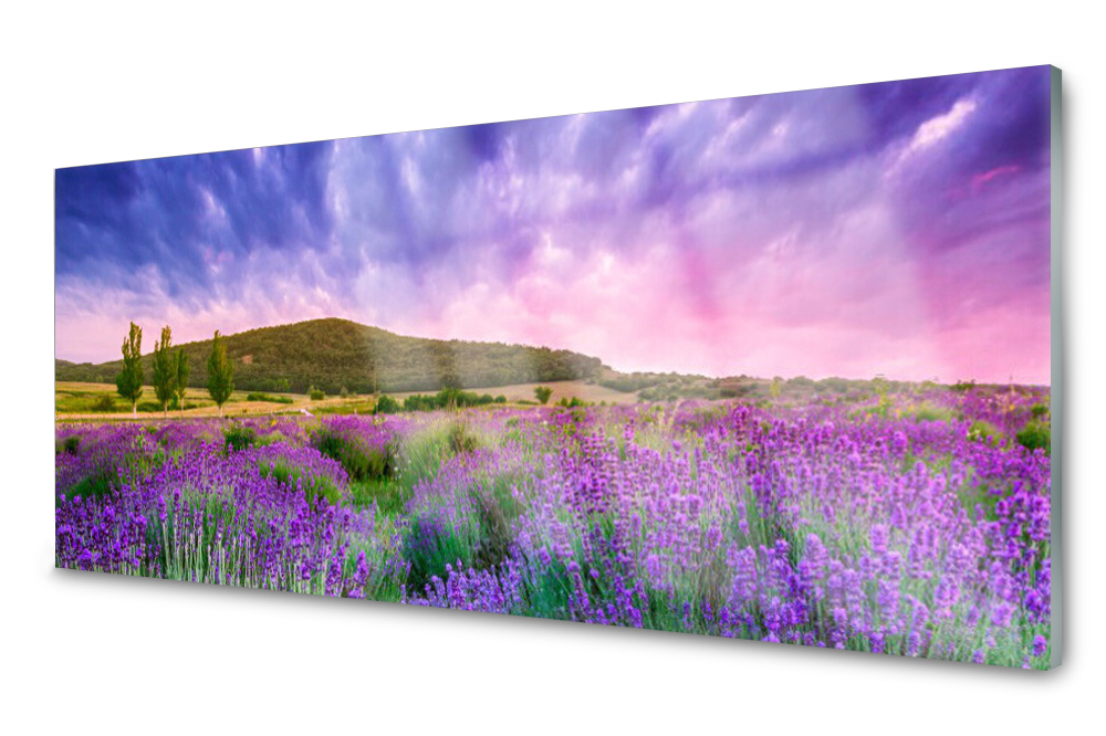 Obraz na skle Lúka Kvety Hory Príroda Foto 125x50