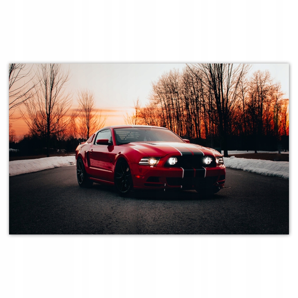 

Fototapety flizelina 416x254 Ford Mustang