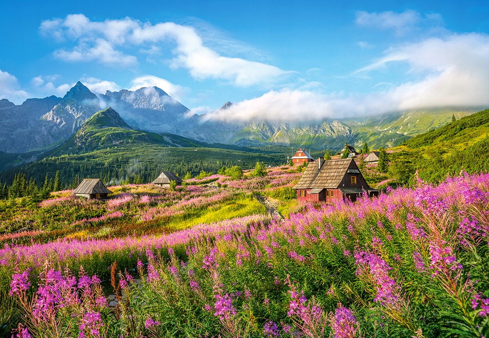 

Puzzle Góry Tatry Hala Gąsienicowa 9+ 1000 Castor