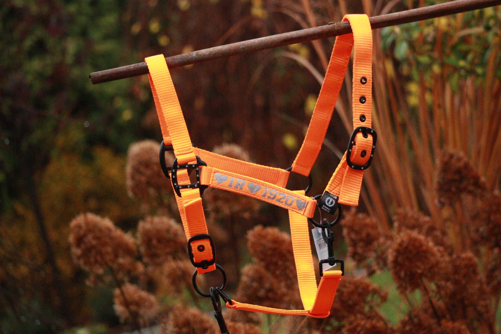 Kantar z uwiązem Imperial Riding rozmiar COB Kod producenta HA45119005