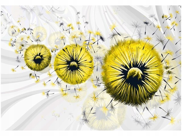 100 70cm Obraz płótno Żółte dmuchawce 5 płótno rama