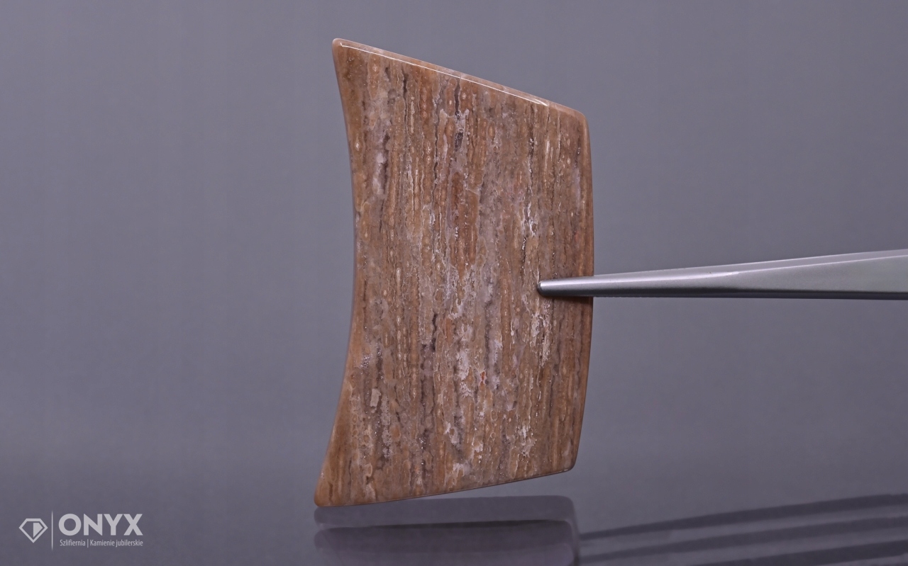 Dřevo zkamenělé konvexní nepravidelné dlaždice 54,5x30,5 mm