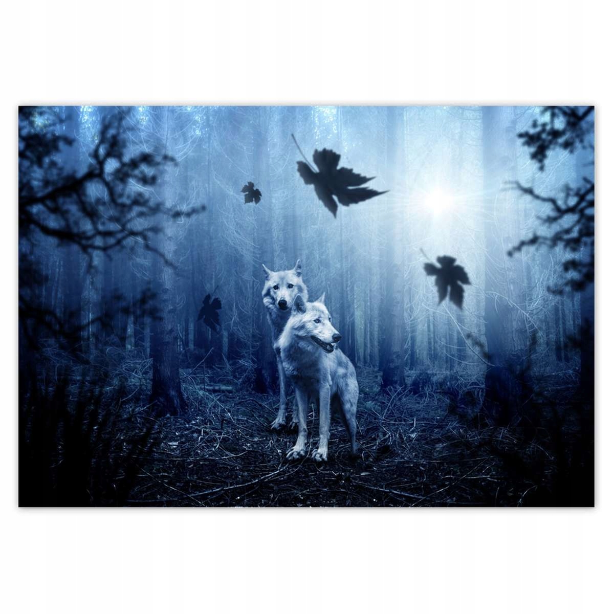 Fototapety 416x290 Vlci v modrom lese