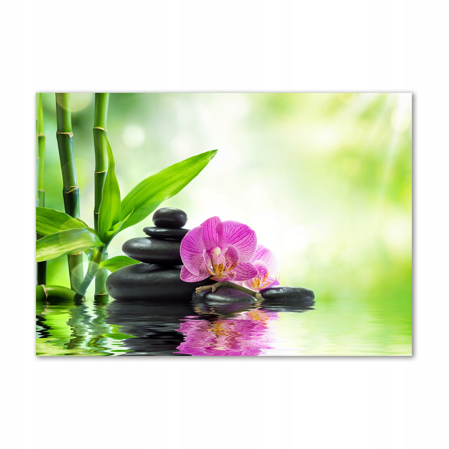 

Obraz zdjęcie na ścianę akryl Orchidea 100x70 cm