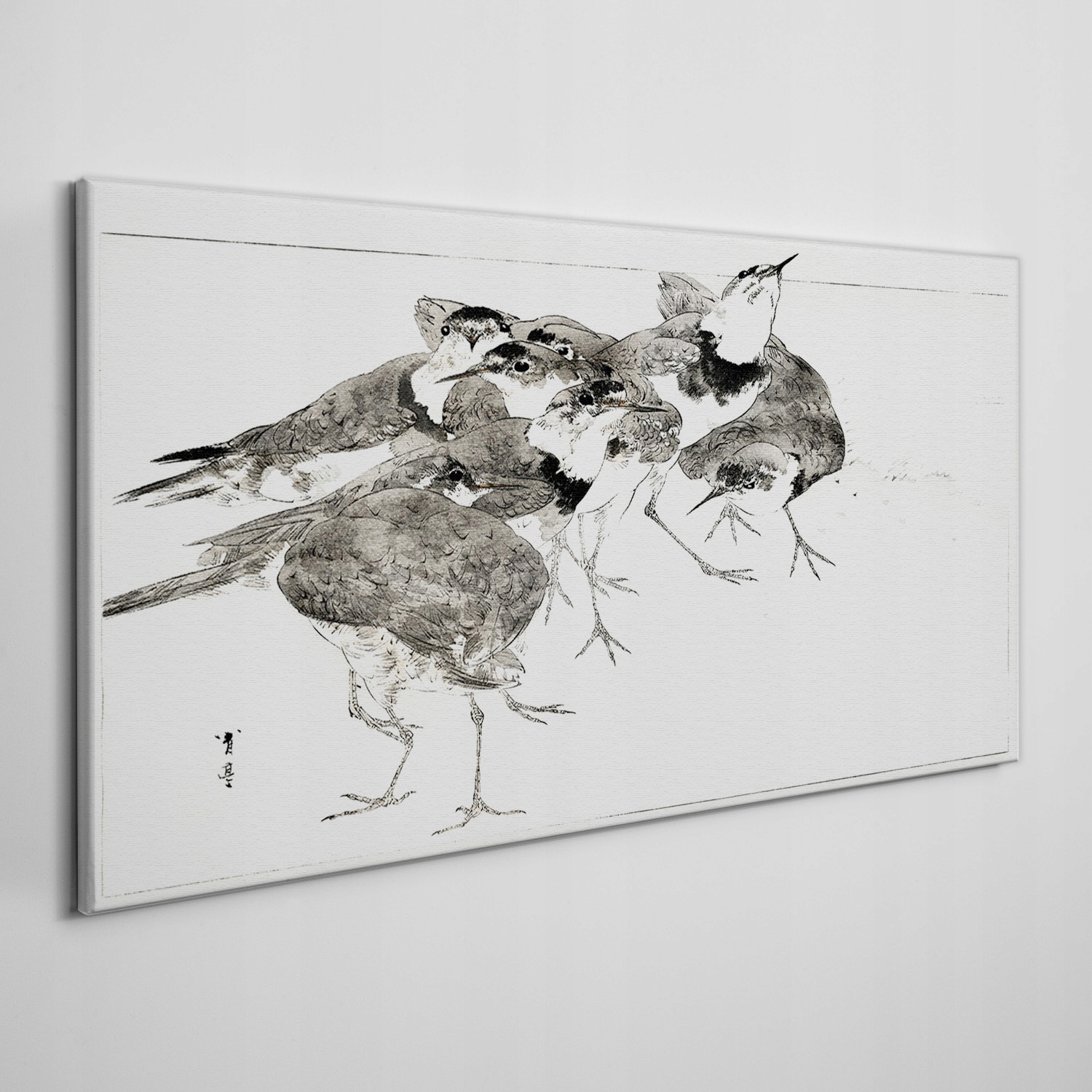

Foto-obraz na ramie płótno Zwierzę ptaki 100x50 cm