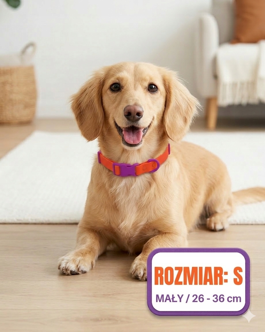 Levně Voděodolný obojek pro psa Velikost S, nastavitelný, odolný, oranžové Pvc