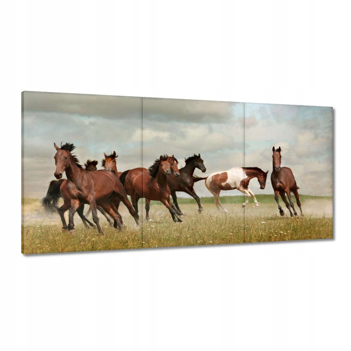 Obrazy 120x60 Kůň Koně Jezdectví
