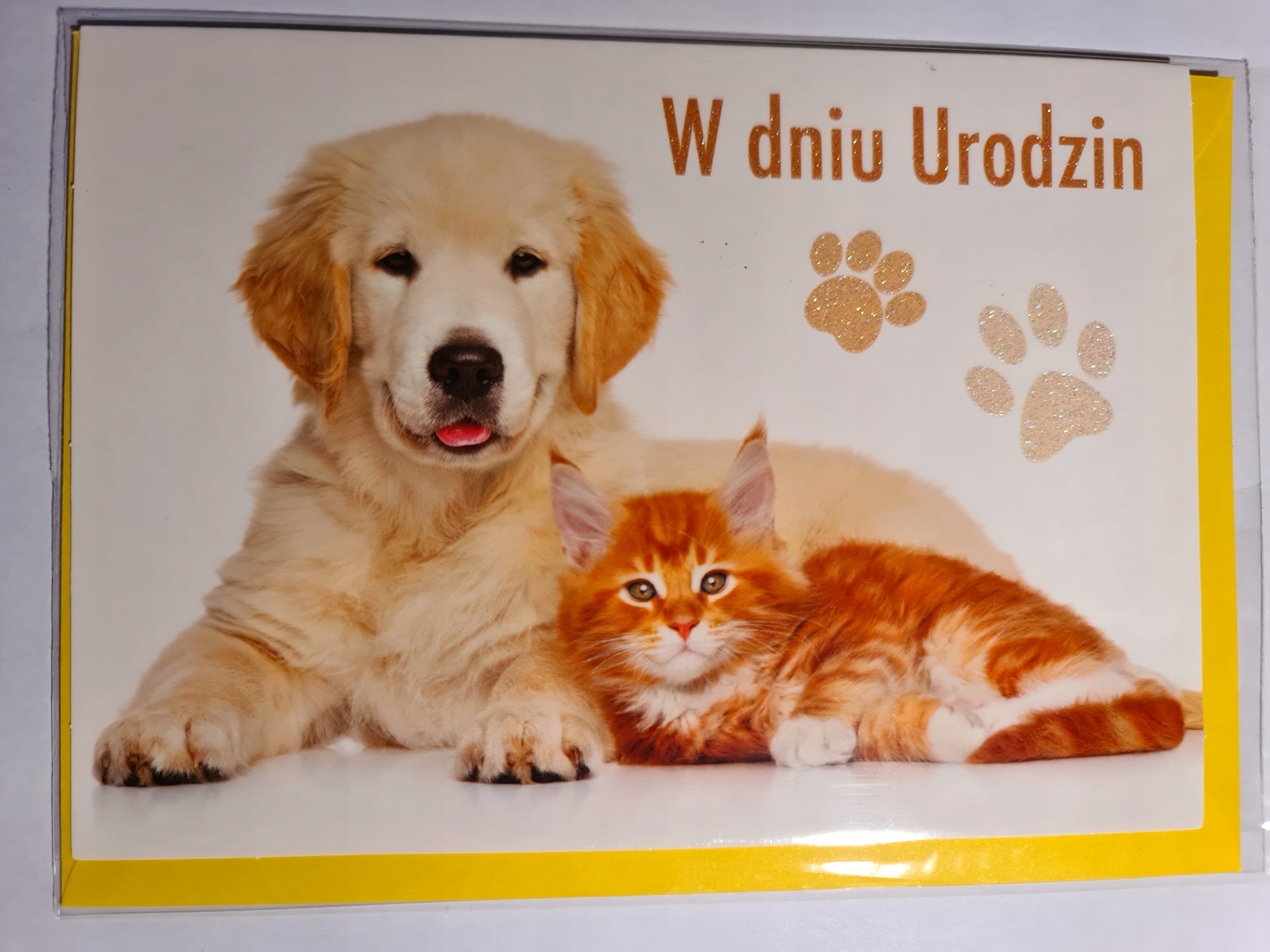 

Kartki urodzinowe kartka urodzinowa karnet urodzi