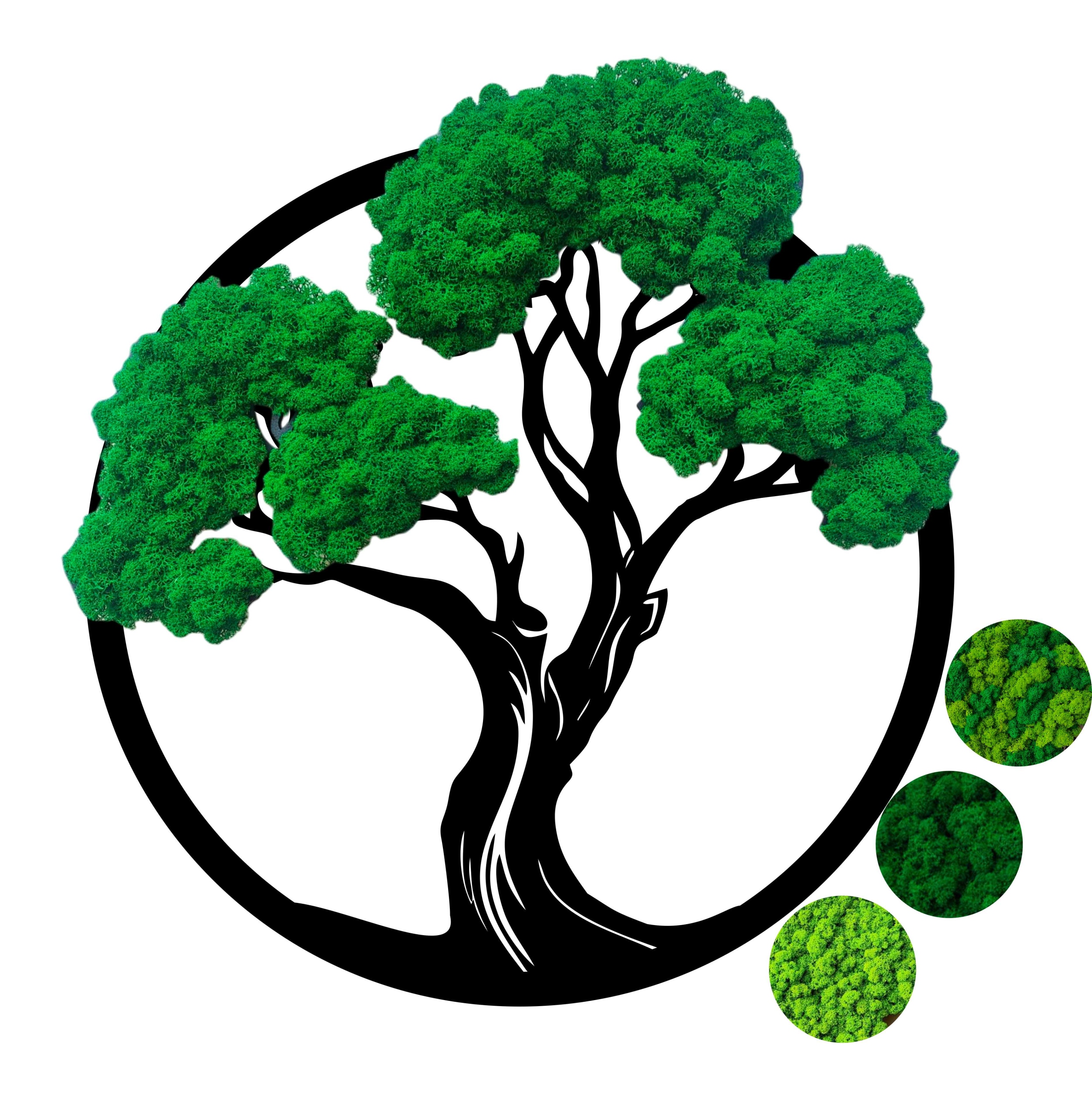 Strom s mechem chrobotkem 50 cm Dřevo Mech Chrobotek okrouhlý Živý Obraz