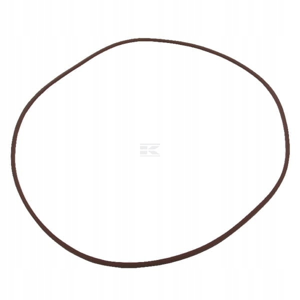 Těsnící kroužek New Holland 5165511 New Holland