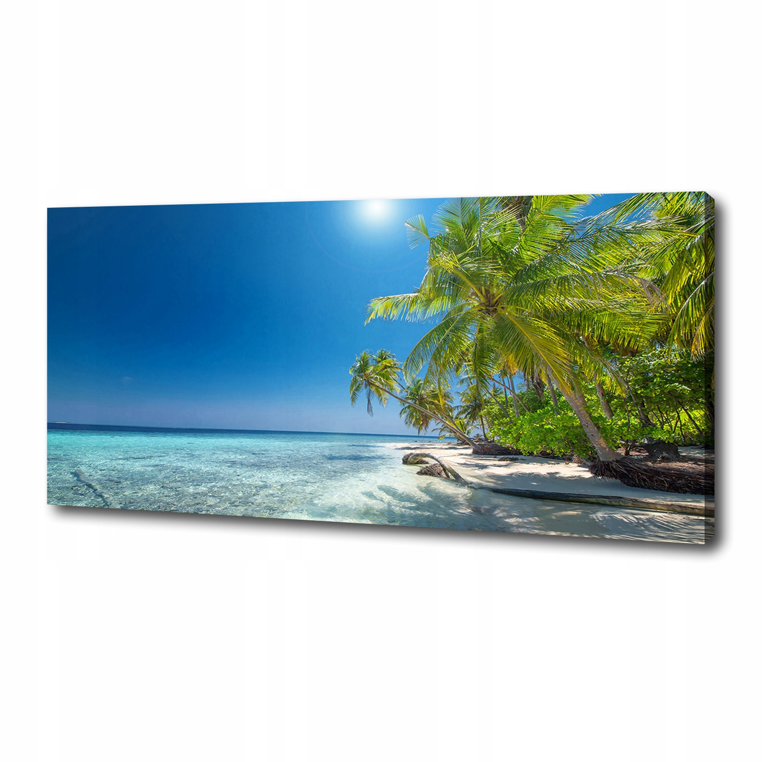 

Foto obraz na płótnie Malediwy plaża 125x50 cm