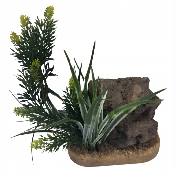 

Dekoracja do akwarium roślinka kamień