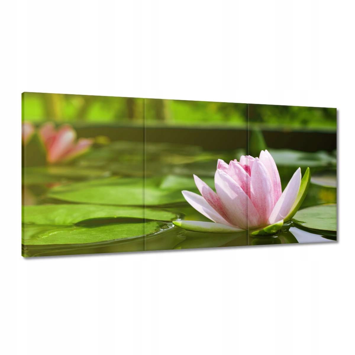 Obrazy 180x90 Vodná ľalia