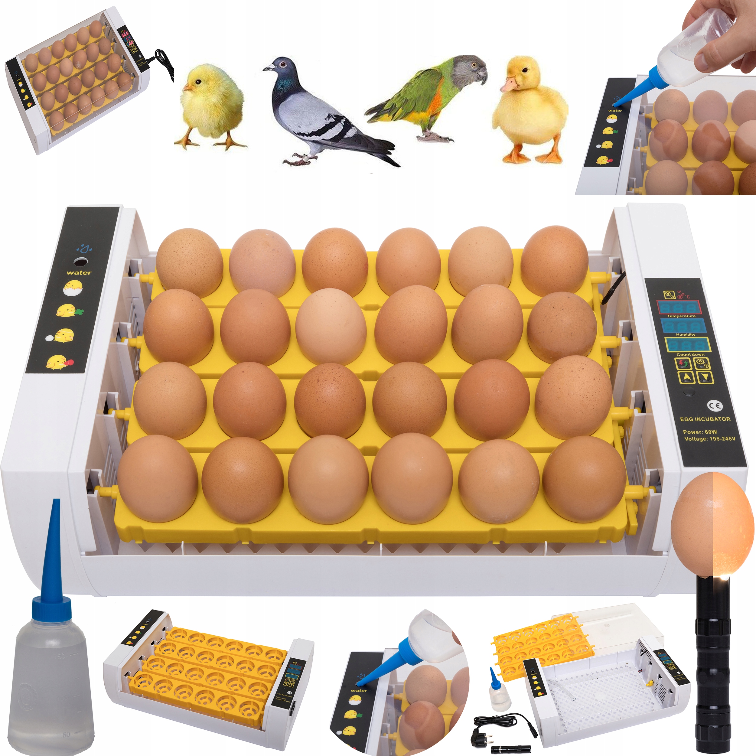  для инкубации яиц птицы до 35 яиц в   из Европы .