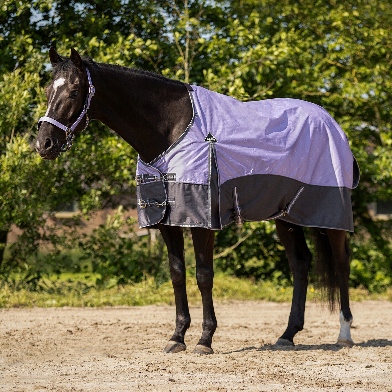 Deka pro koně Qhp fleecová podšívka 26SS fialová 185 (135)