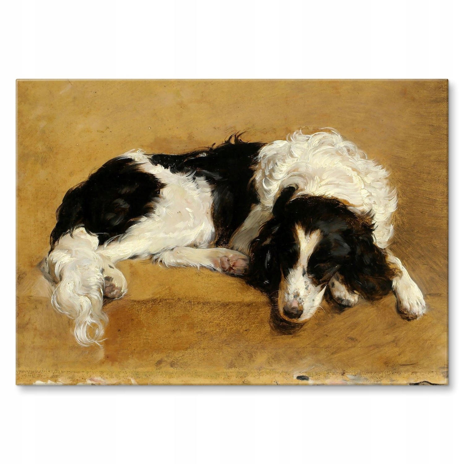 Kovový plakát Hound dog Amerling Dárek 22 x 31 cm