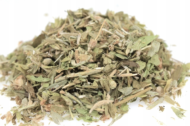 Herbata Górska Gojnik 1kg Zdrowa Herbata i Napar