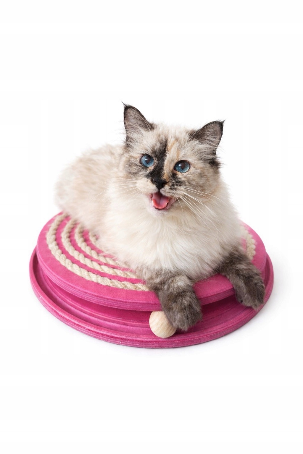 Levně Růžový škrabadlo pro kočky hračka s dráhou s kuličkou, pelíšek, škrabadlo 3v1