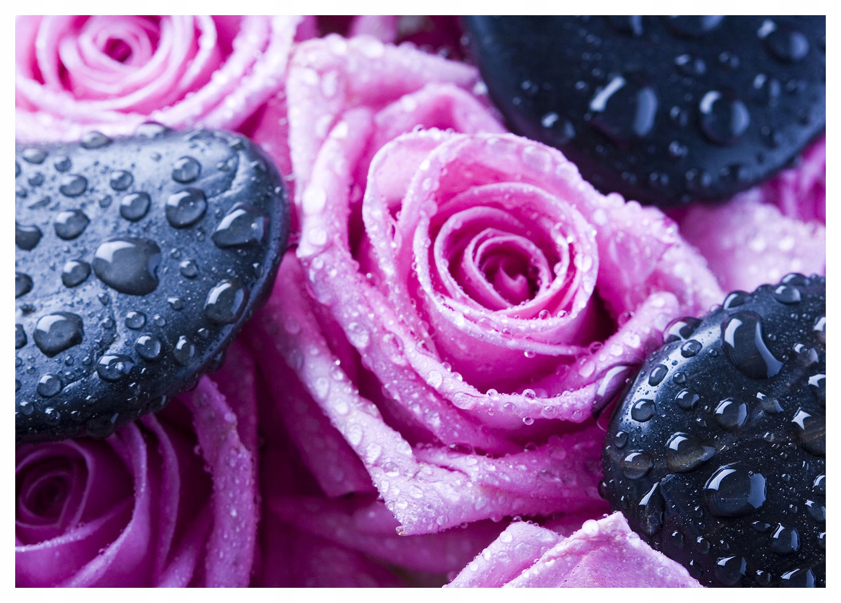 Vliesová fototapeta Růže a kameny Příroda v harmonii 368x254 lepidlo