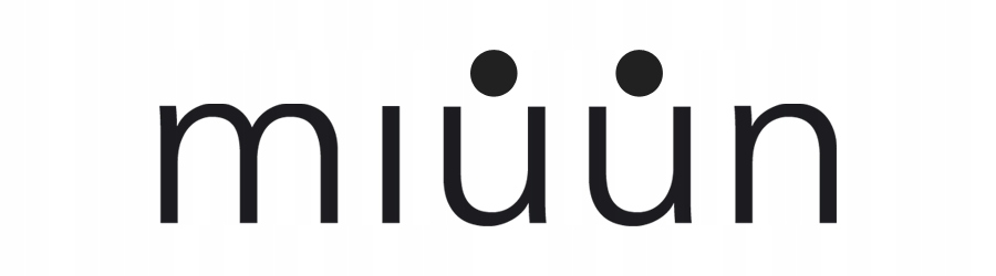 Moduł Podwójne Gniazdo Ładowarka USB Typ A+A 2.4A Szara do Ramek MIUUN Rodzaj gniazda ścienne