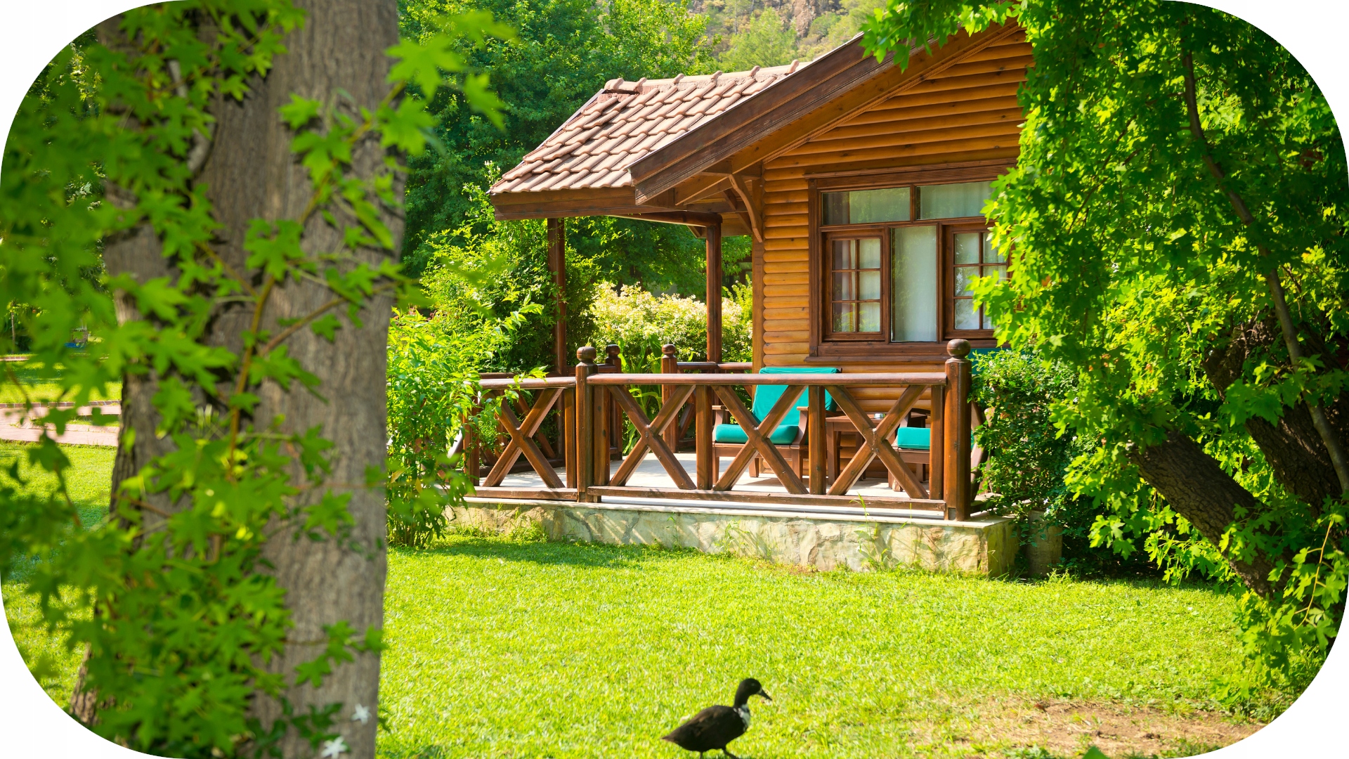 Zewnętrzna Kamera IP WiFi 8MPx Bezprzewodowa SD Marka DSB