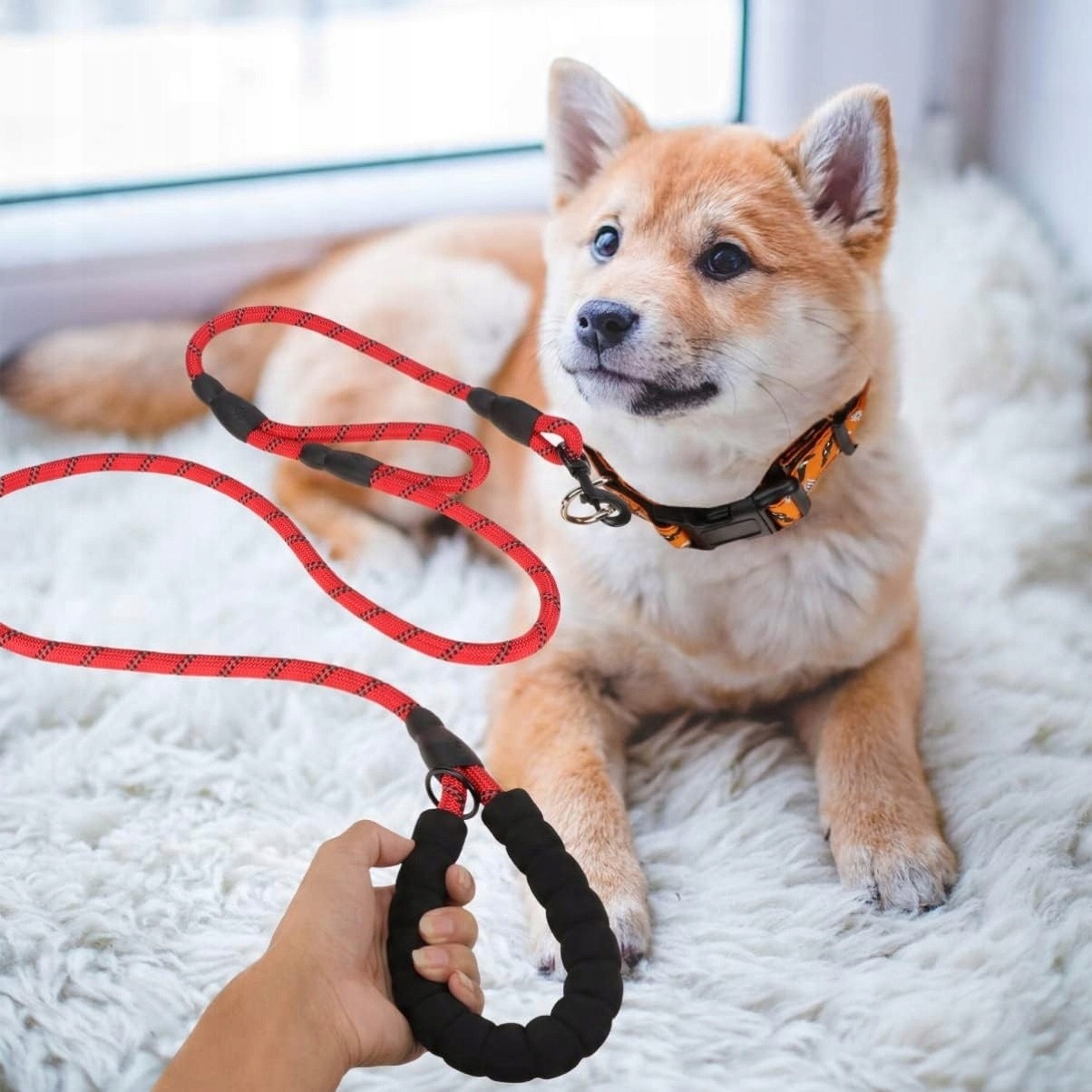 Levně Vodítko Pletené lano pro psa Štěně Tréninkové 1,8 m