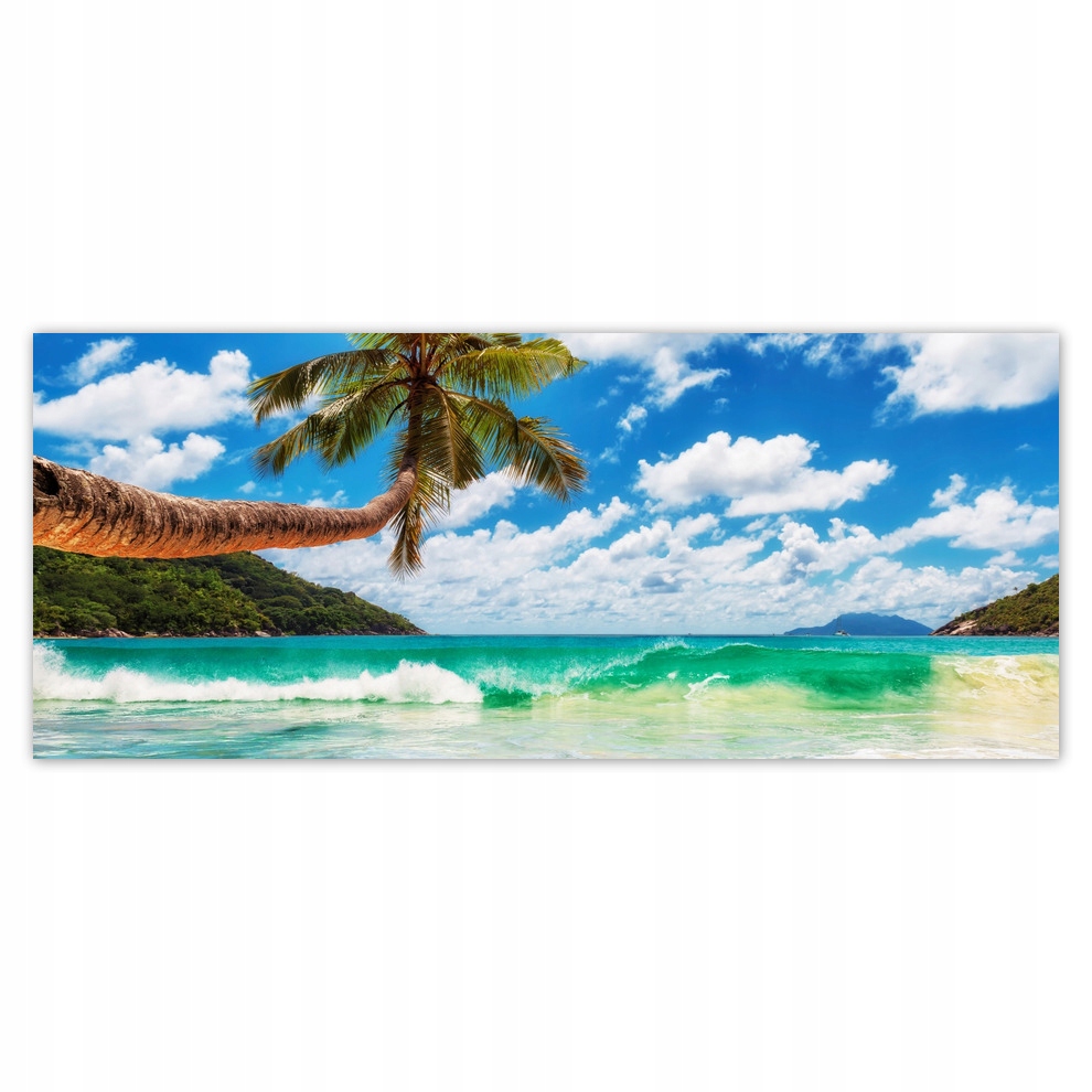 

Fototapety flizelina 250x104 Tropiki Palmy Plaża