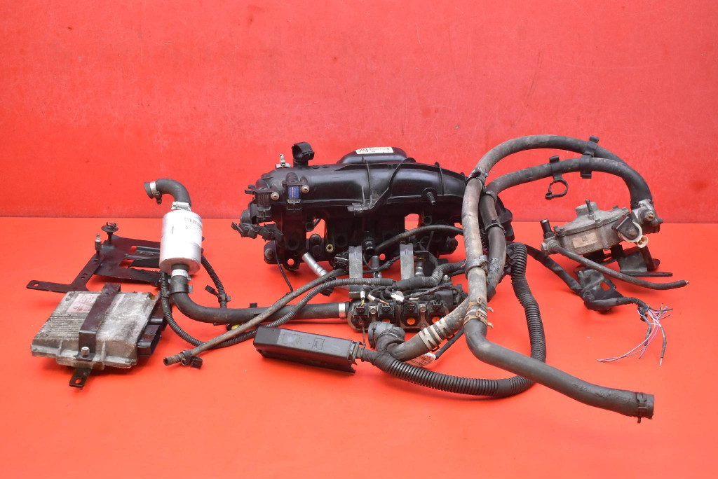 Complète Câblage Gaz LPG 25194624 LANDI RENZO