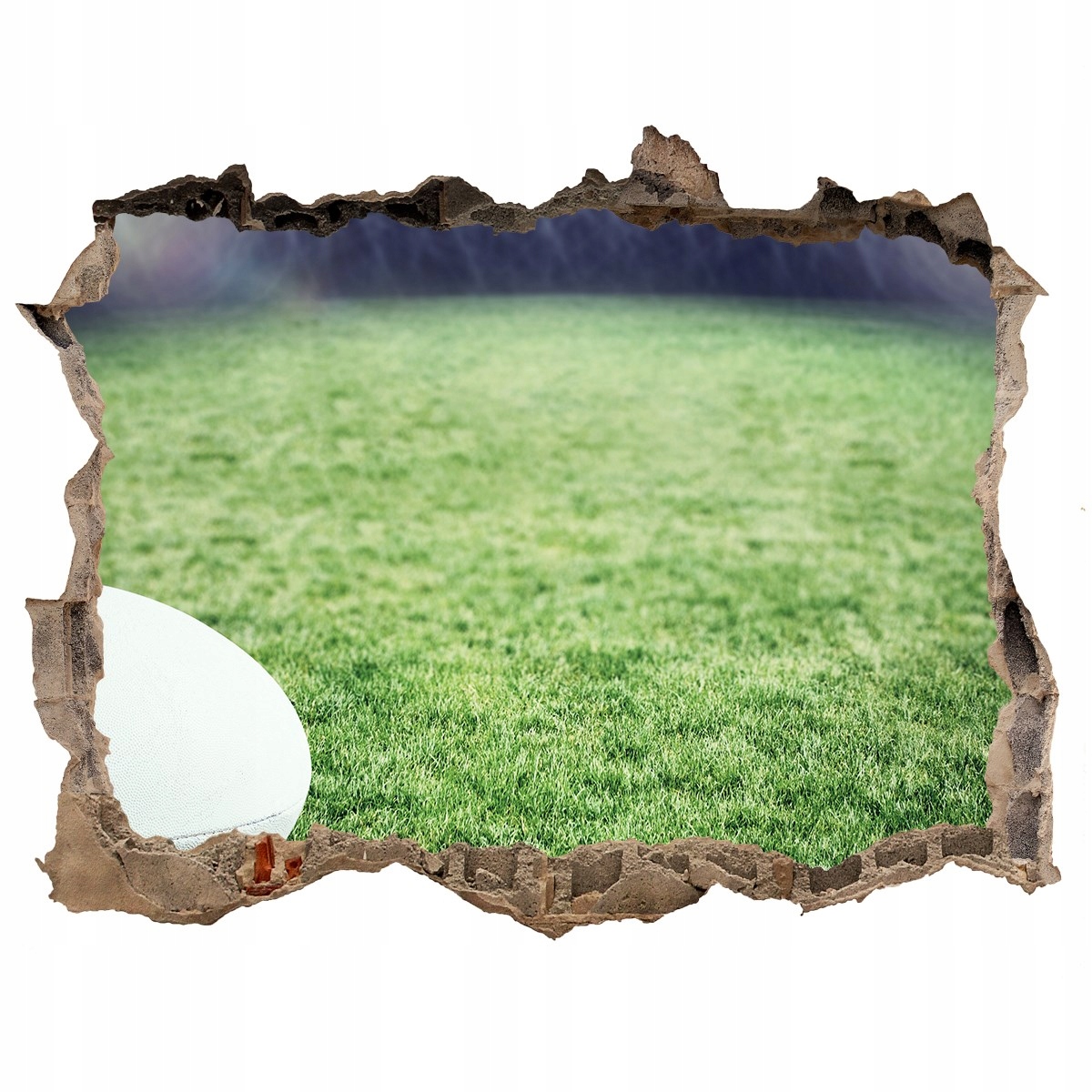 

Foto zdjęcie dziura na ścianę Piłka w rugby 120x81