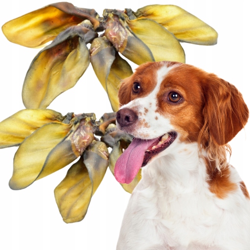 Levně Sušené hovězí uši velké 20 ks Přírodní žvýkací pamlsek pro psy Animille