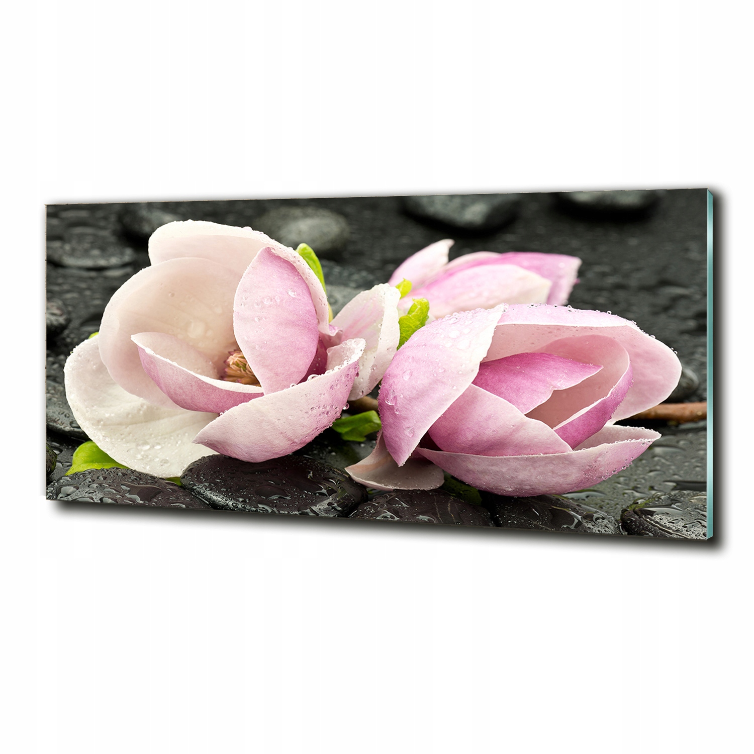 

Foto szklany na ścianę obraz Magnolia kamień zen